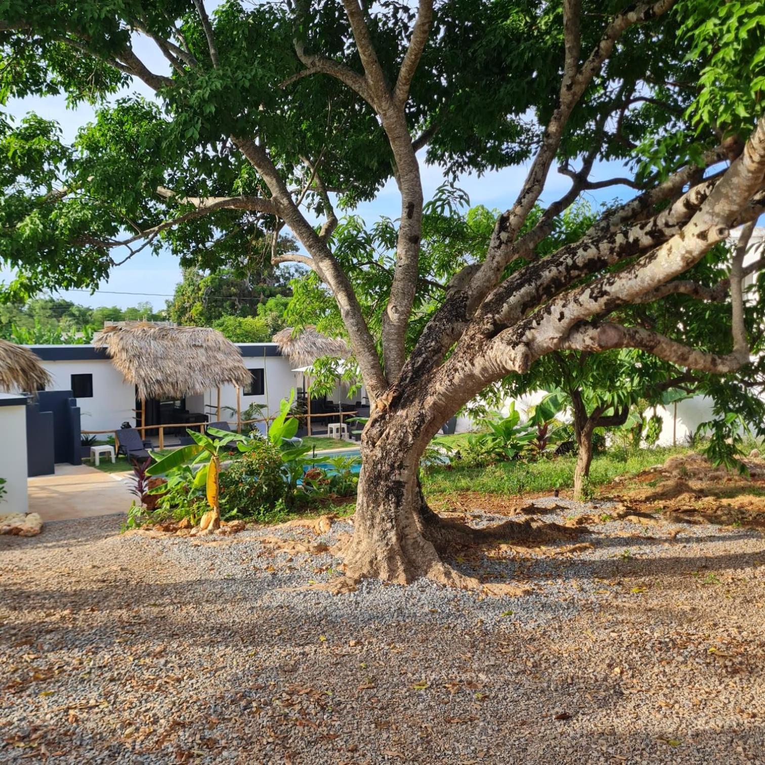 לאס גלראס Bungalows Colibri מראה חיצוני תמונה