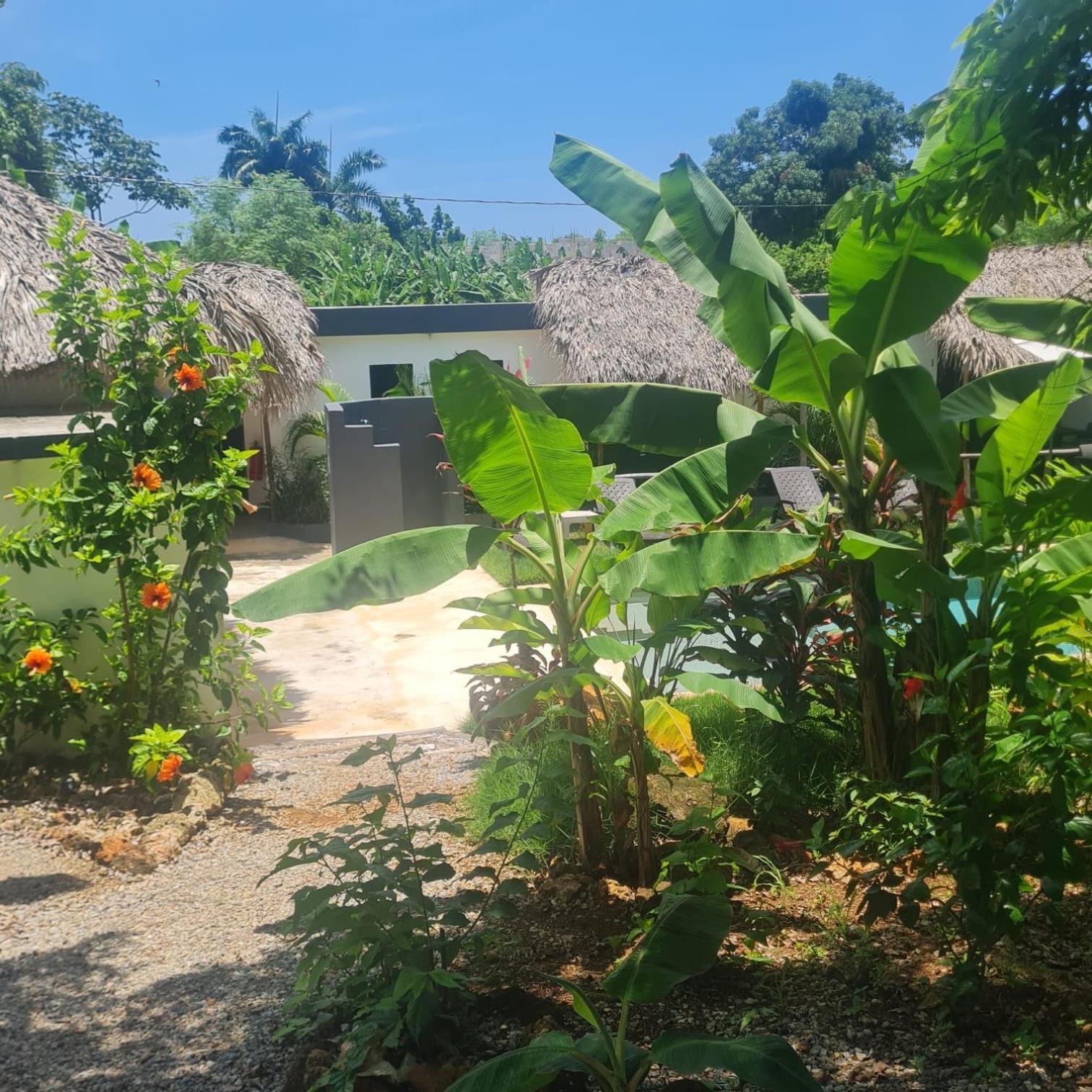 לאס גלראס Bungalows Colibri מראה חיצוני תמונה