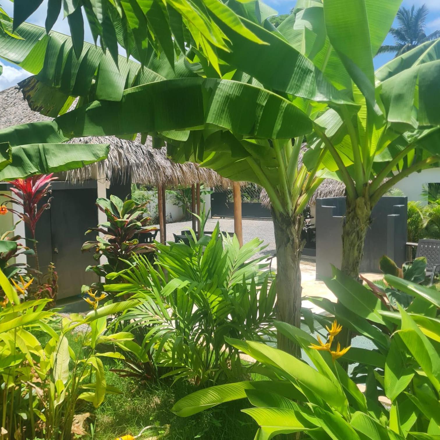 לאס גלראס Bungalows Colibri מראה חיצוני תמונה